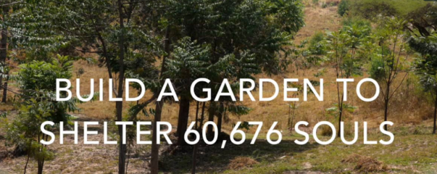 Guest Column Dr. Patricia L. Pasick: Supporting the Survivors of the Rwandan Genocide