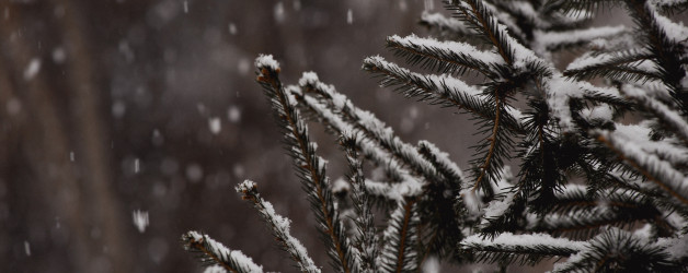 38 Things I Learned in January